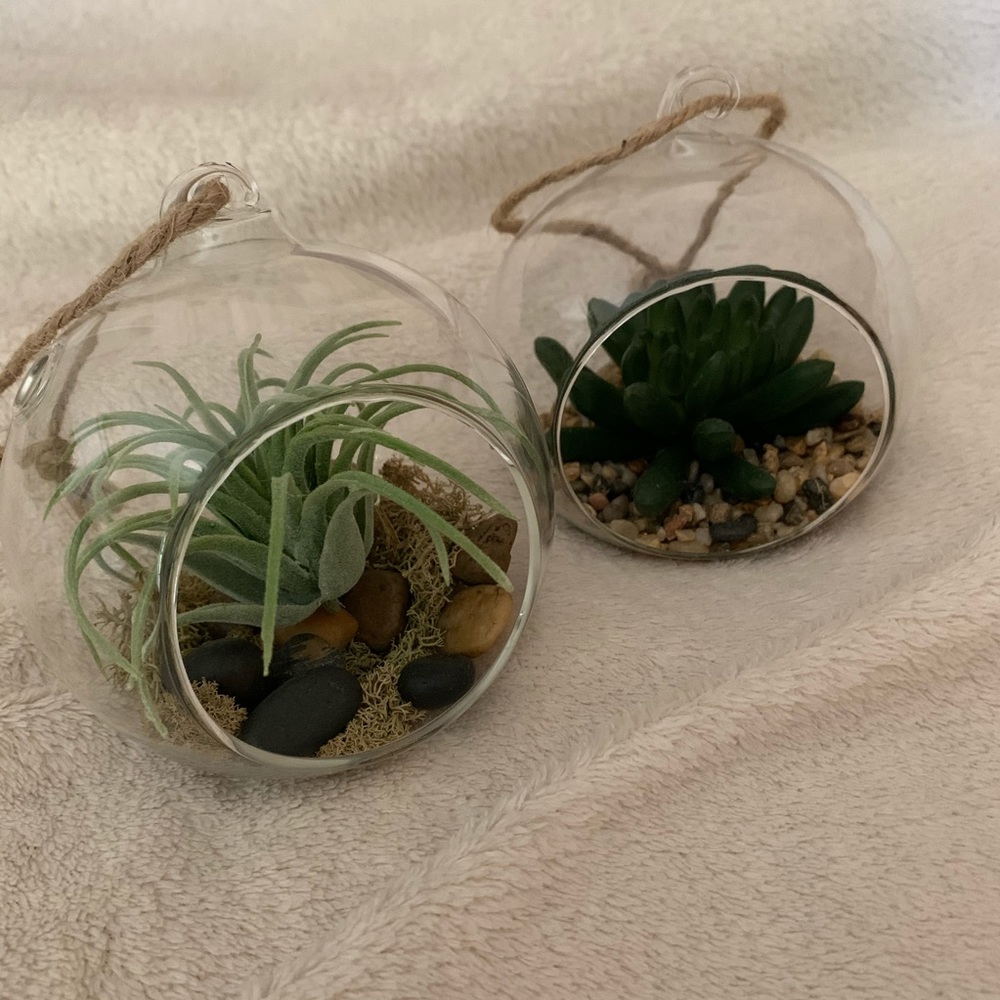Decorative plant orbs